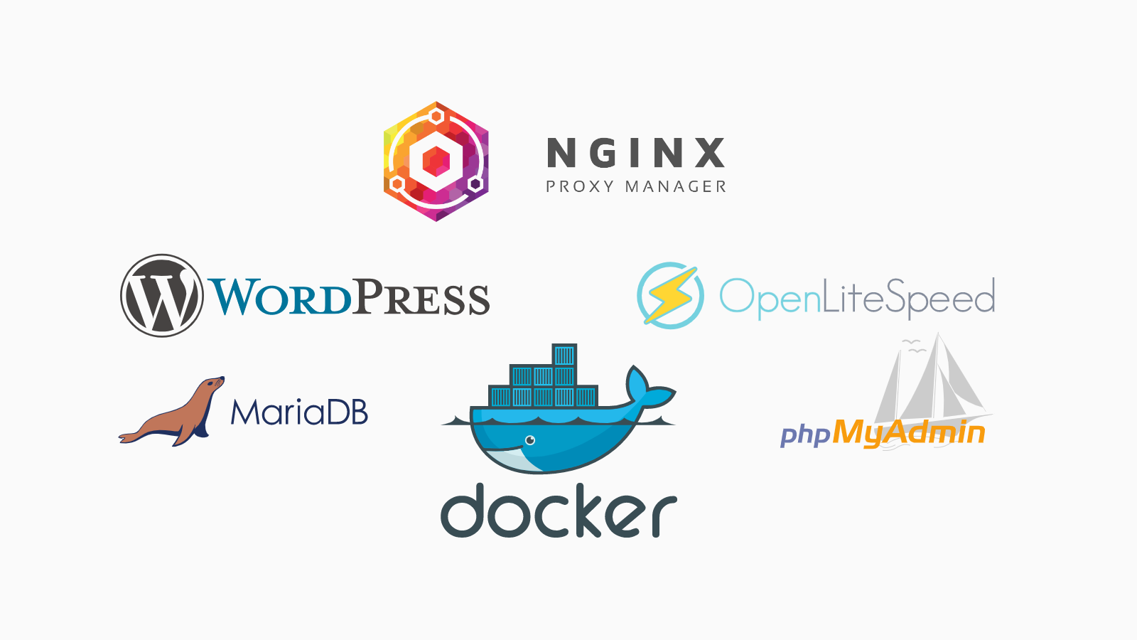 Cấu hình Nginx Proxy Manager làm Reverse Proxy cho OpenLiteSpeed + MariaDB + Docker